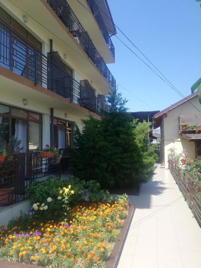 Villa Pescarus Costinesti Exterior photo